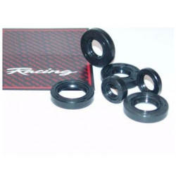 Order Complete Revision Set Derbi OT EBE050 A-Quality? Ordered before 16:00? Processed today