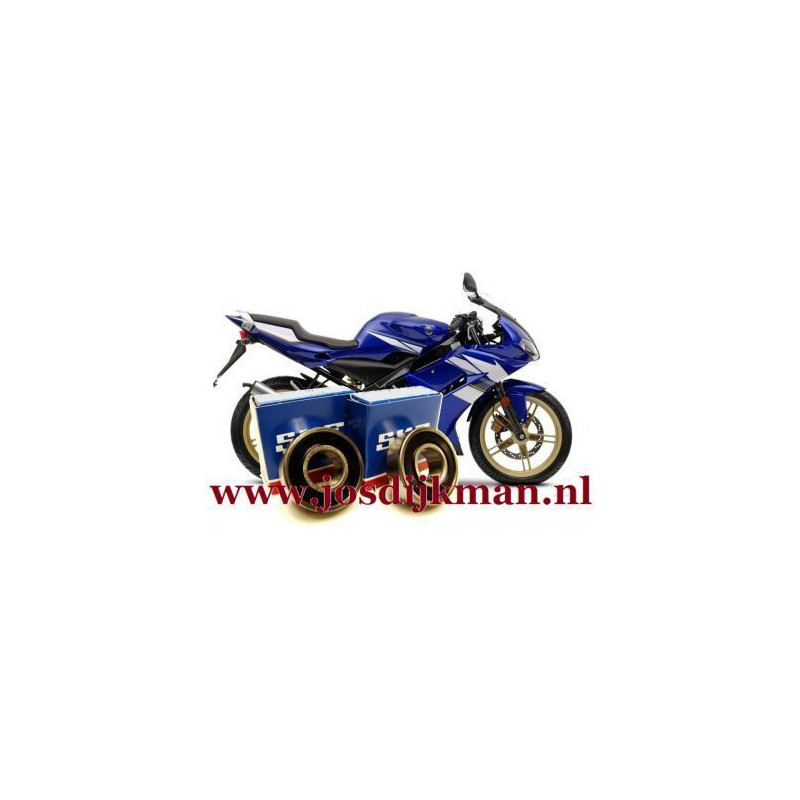 Wiellagerset Yamaha TZR achterwiel L+R