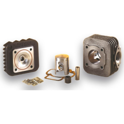 Malossi Sport Piaggio Luchtgekoeld Cilinder+Kop  50CC