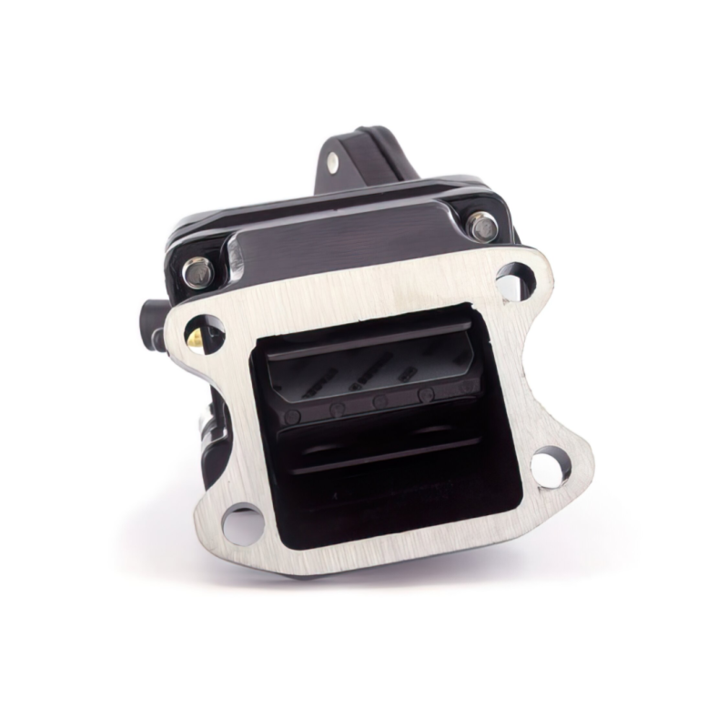 Inlaatset Stage6 Peugeot Verticaal 2-Takt