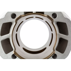 Cilinderkit Stage6 Sport Pro 70CC MK2 Piaggio 2-Takt LC