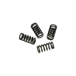 Kopp.Drukveerset Malossi AM6