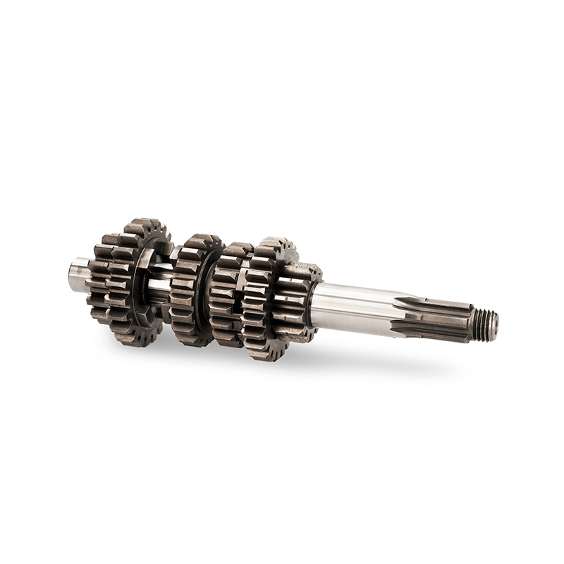 Versnellingsbak Compleet Derbi SM Voca-Racing