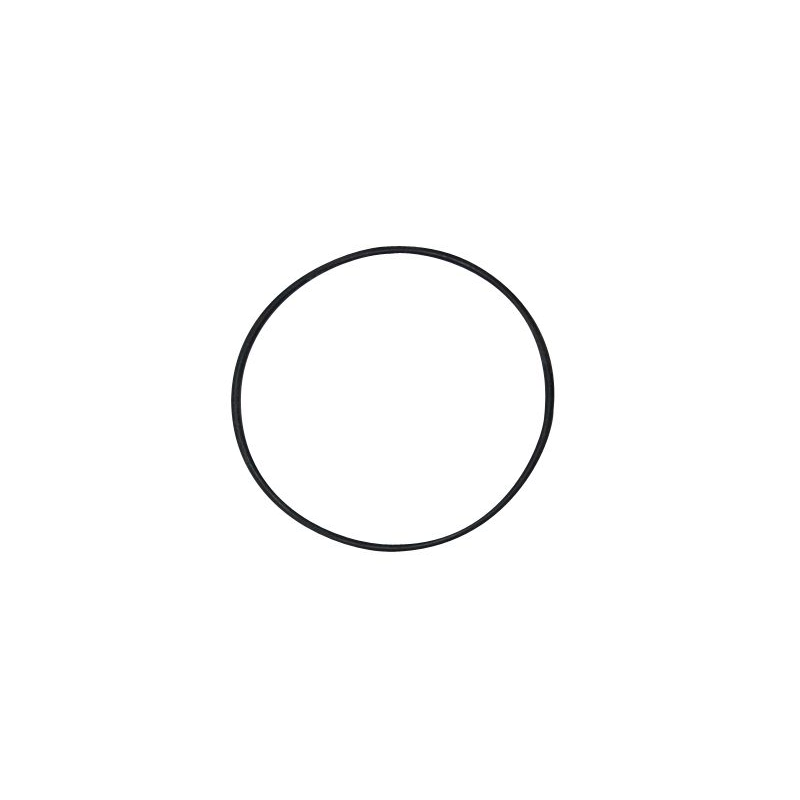Waterpomp O-Ring Minarelli