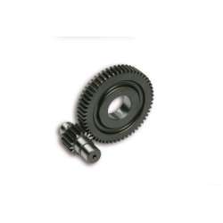 Vertranding Malossi Secundair Piaggio 4-Takt IGET 15/55