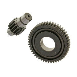 Vertranding Malossi Secundair Piaggio 2-Takt 14/47