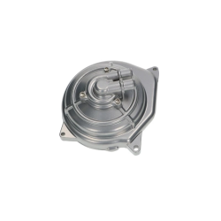 Waterpomp Minarelli Grijs