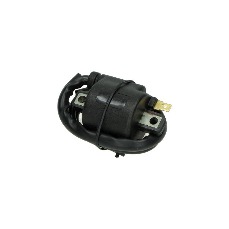 Bobine Honda MT/MB