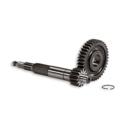 Overbrengingset Malossi Primair