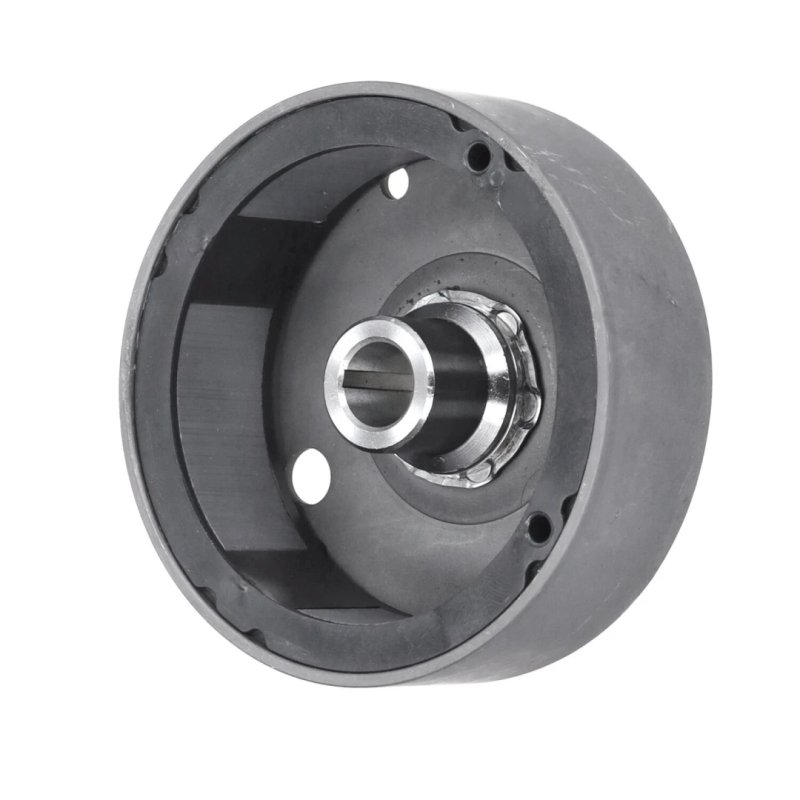 Ontsteking Compleet Tomos A55 / A35