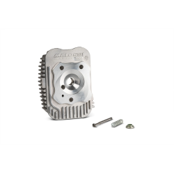 Cilinderkop Malossi 43MM Citta / Ciao / Si