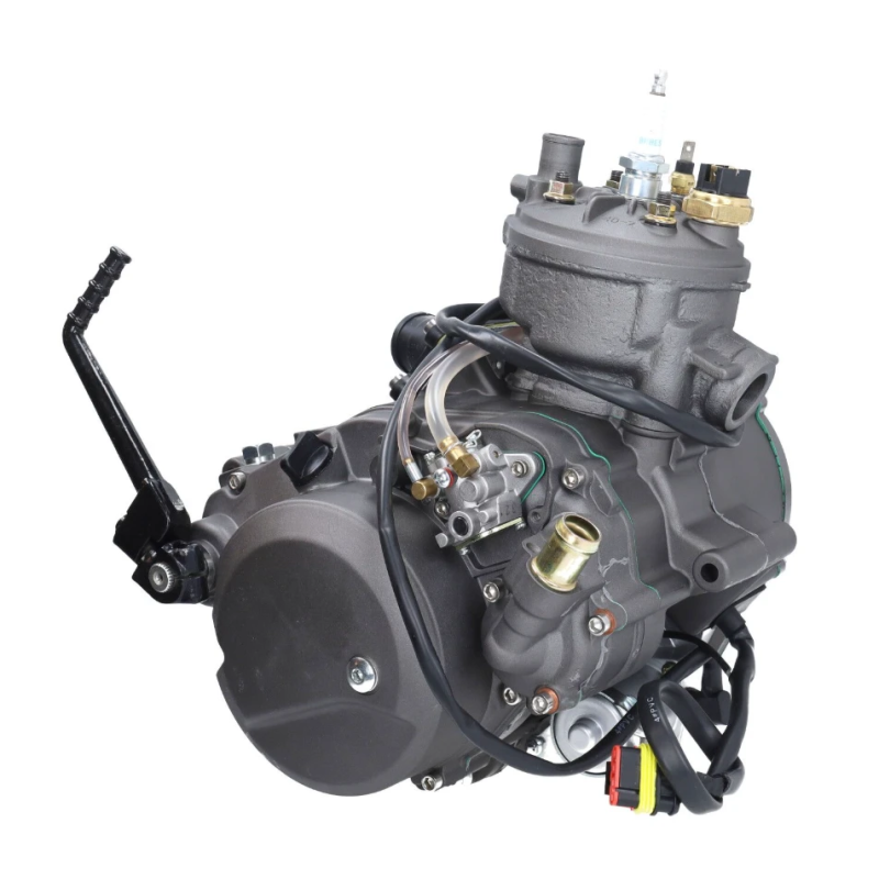 Compleet Minarelli AM6 Motorblok met Startmotor & Kickstarter