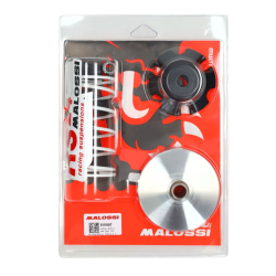 Malossi Multivar Variateur Piaggio / Vespa 50cc 4-Takt – Inclusief Rollen & Drukveer