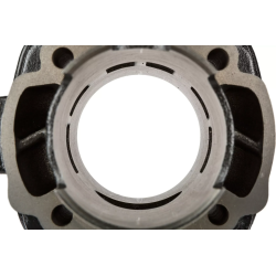 Cilinderkit Top Performances Black Trophy 70cc 48mm – Piaggio LC