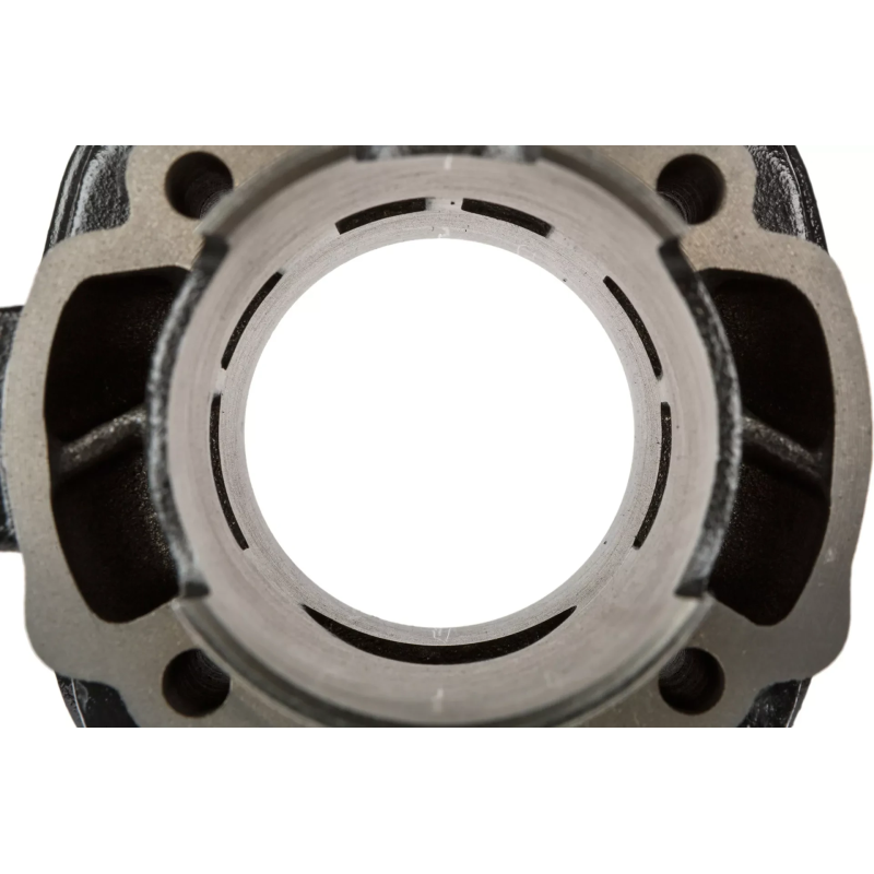 Cilinderkit Top Performances Black Trophy 70cc 48mm – Piaggio LC