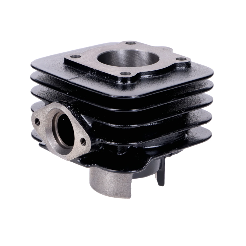 Cilinderkit Top Performances Black Trophy 50cc 40mm – Piaggio AC – Gietijzer