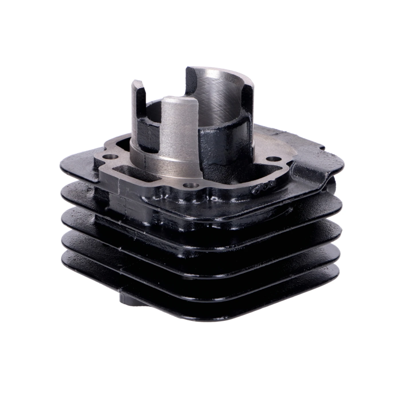 Cilinderkit Top Performances Black Trophy 50cc 40mm – Piaggio AC – Gietijzer