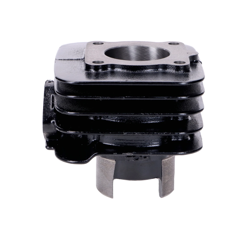 Cilinderkit Top Performances Black Trophy 50cc 40mm – Piaggio AC – Gietijzer