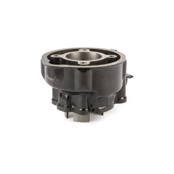 Cilinderkit Top Performances 80cc 49mm Race – Minarelli AM6 LC