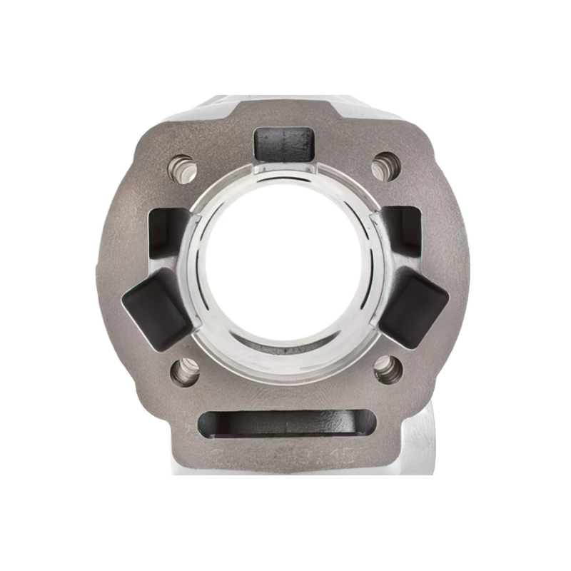 Top Performances TPR 80cc Cilinderkit 50mm – Derbi NT D50B0 Euro 3 / 4