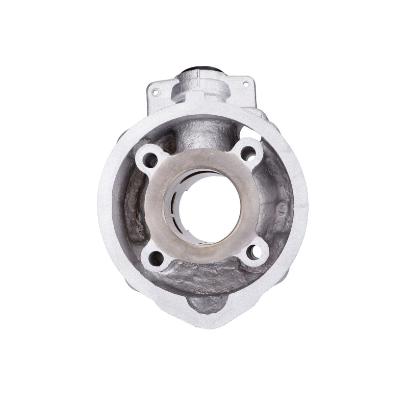 DMP 50cc Cilinder 40mm Aluminium Nicasil – Minarelli AM6