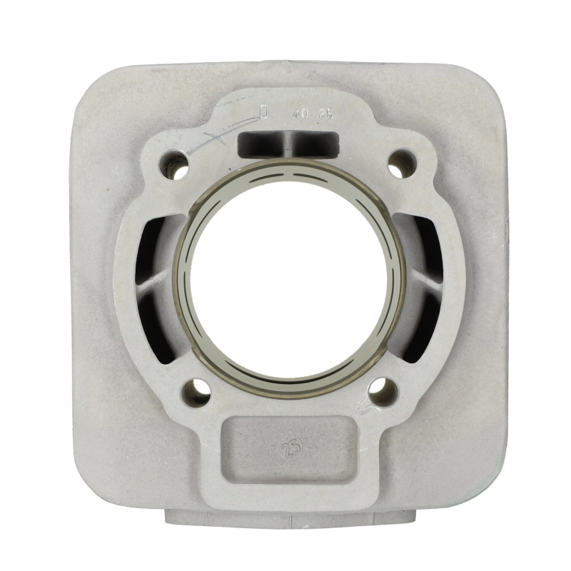 Malossi 172cc Cilinderkit 65mm – Piaggio 125-180cc 2T Luchtgekoeld (AC)