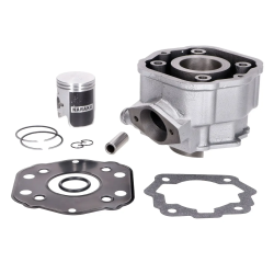 Naraku Cilinder 50cc 39.90mm Derbi Senda Oud Type tot 2006 EBE050