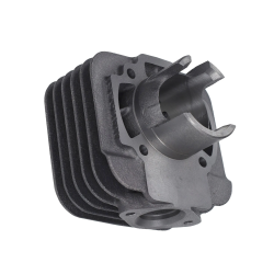 Malossi Sport 50cc Cilinderkit 40mm Piaggio Luchtgekoeld AC